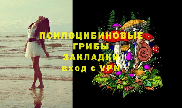 амф Абинск