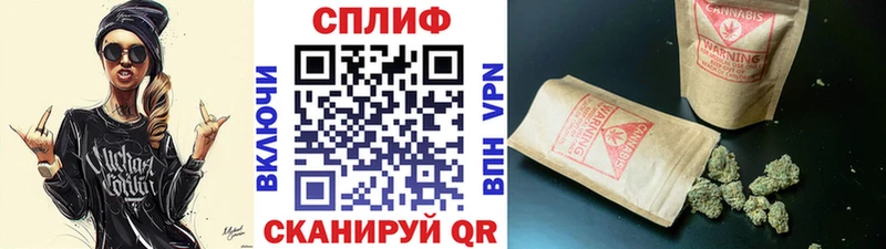Бошки Шишки семена  купить   Старый Крым 